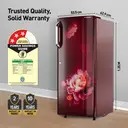 Panasonic 230 L Direct Cool Single Door 3 Star Refrigerator, NR-A242CFRN (Becky Red Floral) - Image 2